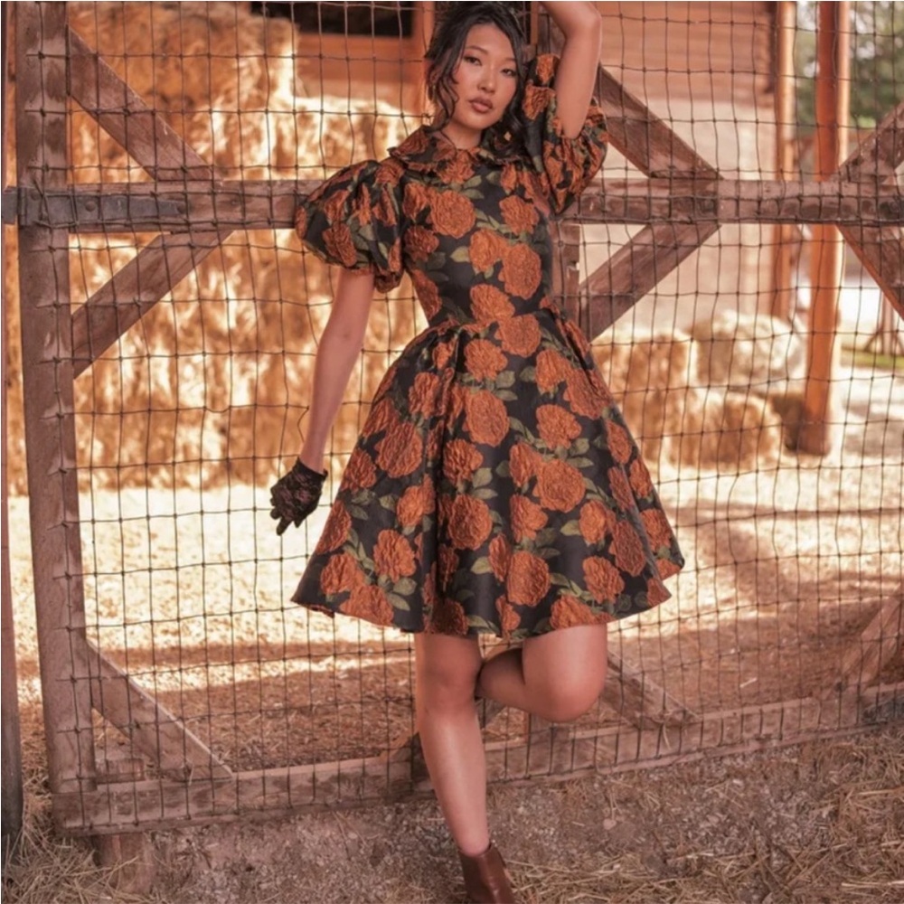 JessaKae Sylvie Dress in XXL - Picture 2 of 7